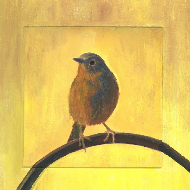 Golden Bluebird