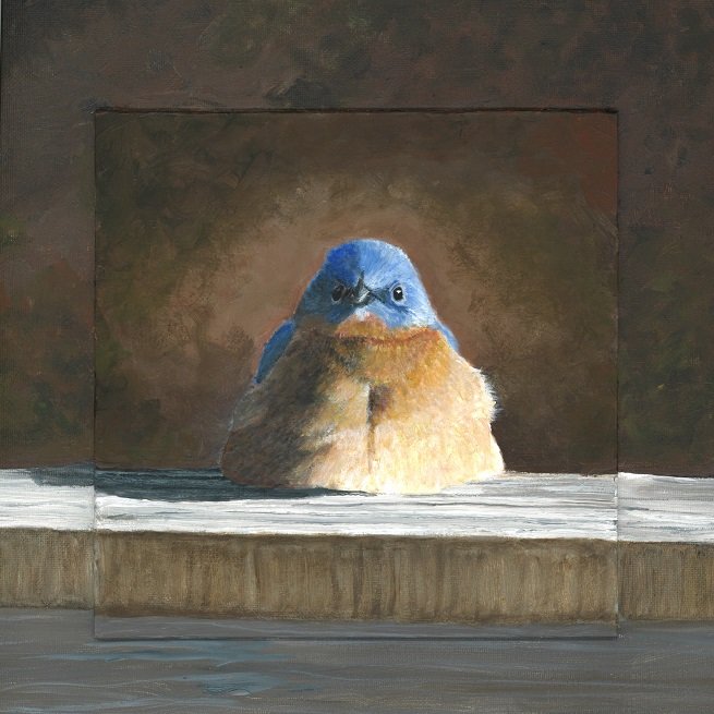 Fluffy Bluebird