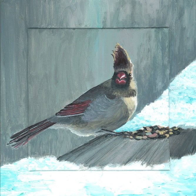 Female Cardinal in Snow