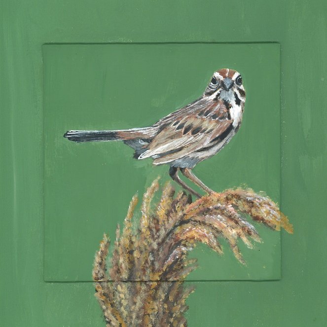 Sparrow on Wheat
