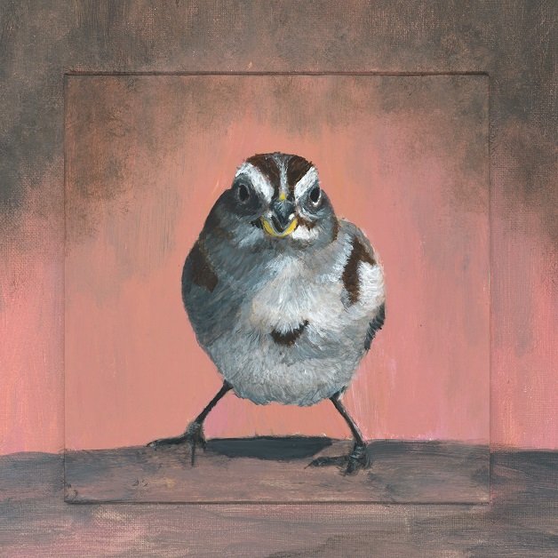 Sparrow with Attitude