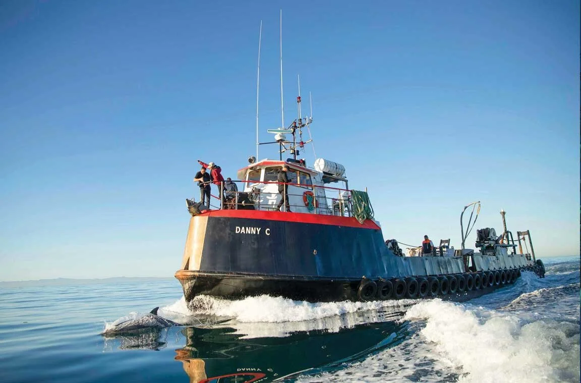 The steady and stalwart Danny C Heading out to to our Sea Cellar