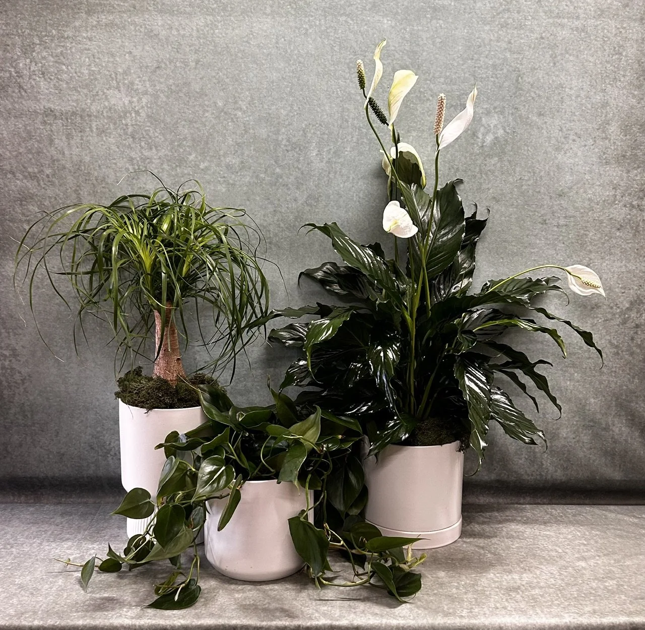 Touch of Greenery