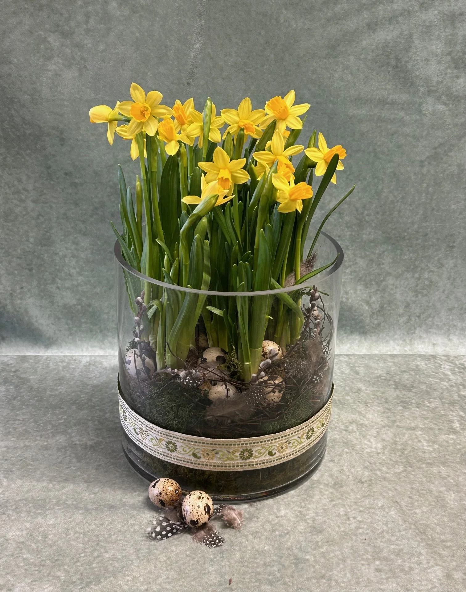 Daffodil Garden