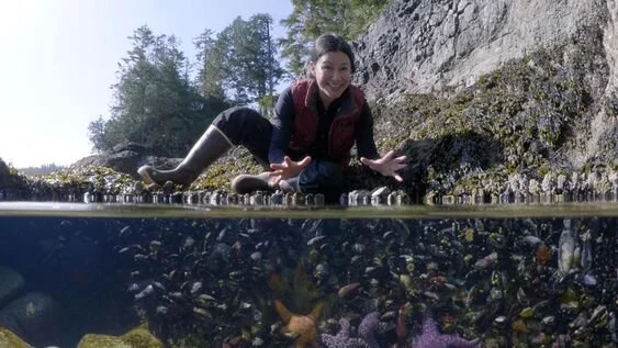 The intertidal zone keeps serving up new discoveries