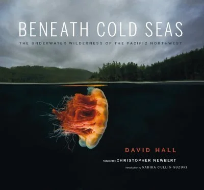 Introduction to “Beneath Cold Seas”