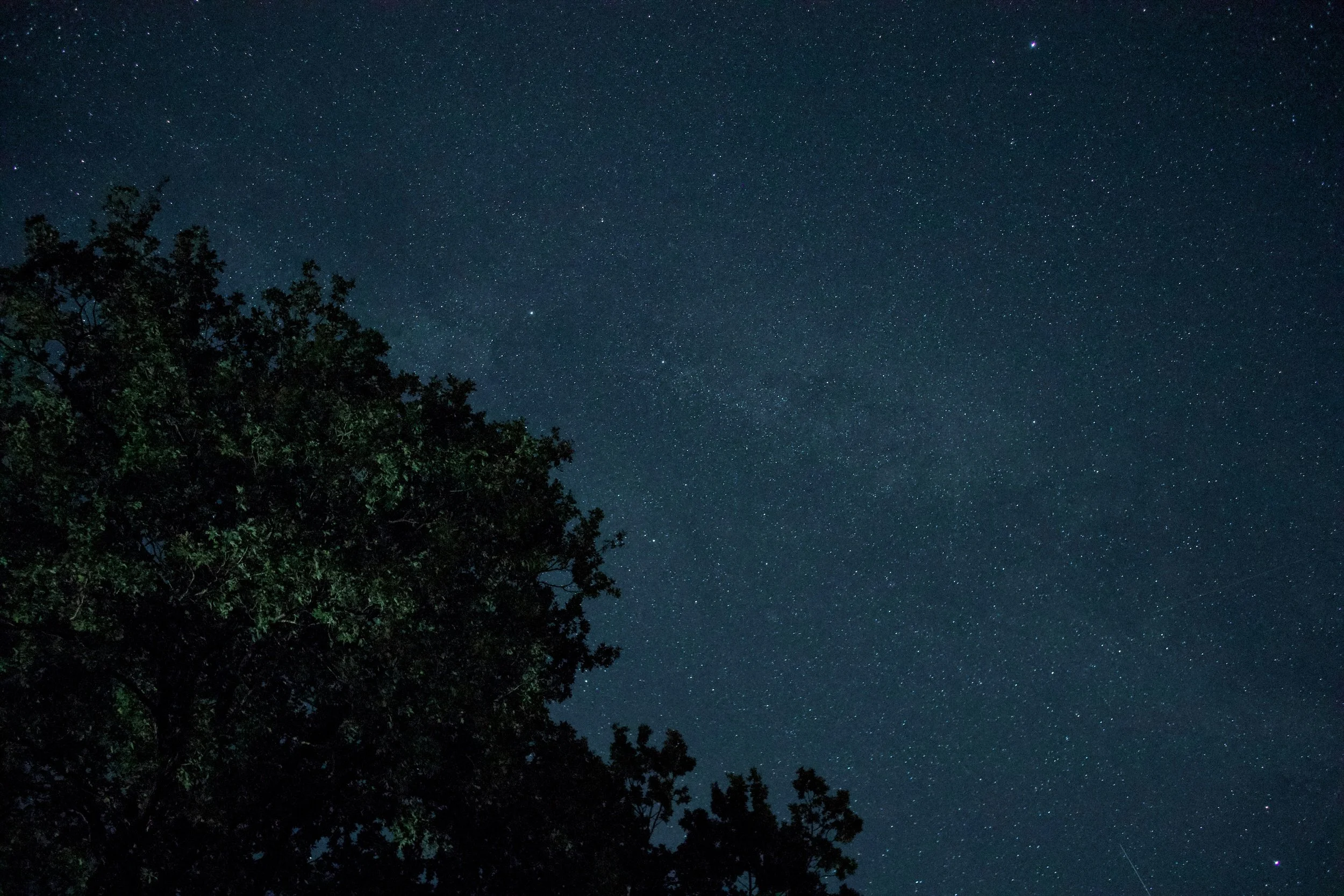 Day 16: Darkness At Noon: Creation Responds