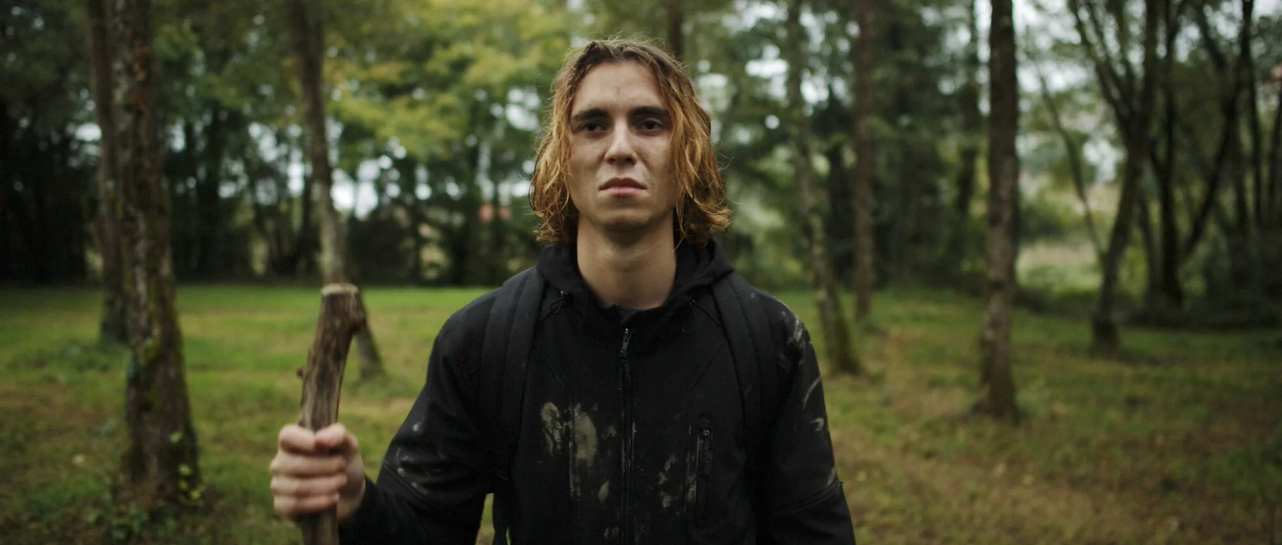 el-camino-short-film-pilgrim-walking-staff-woodland.webp