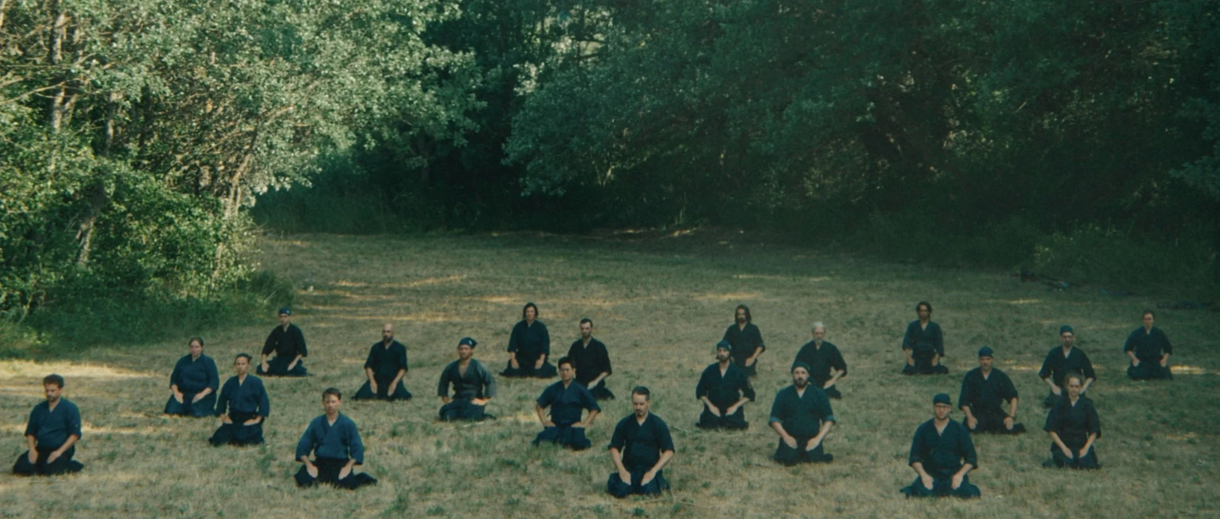 martial-arts-documentary-seiza-group-forest-clearing.webp