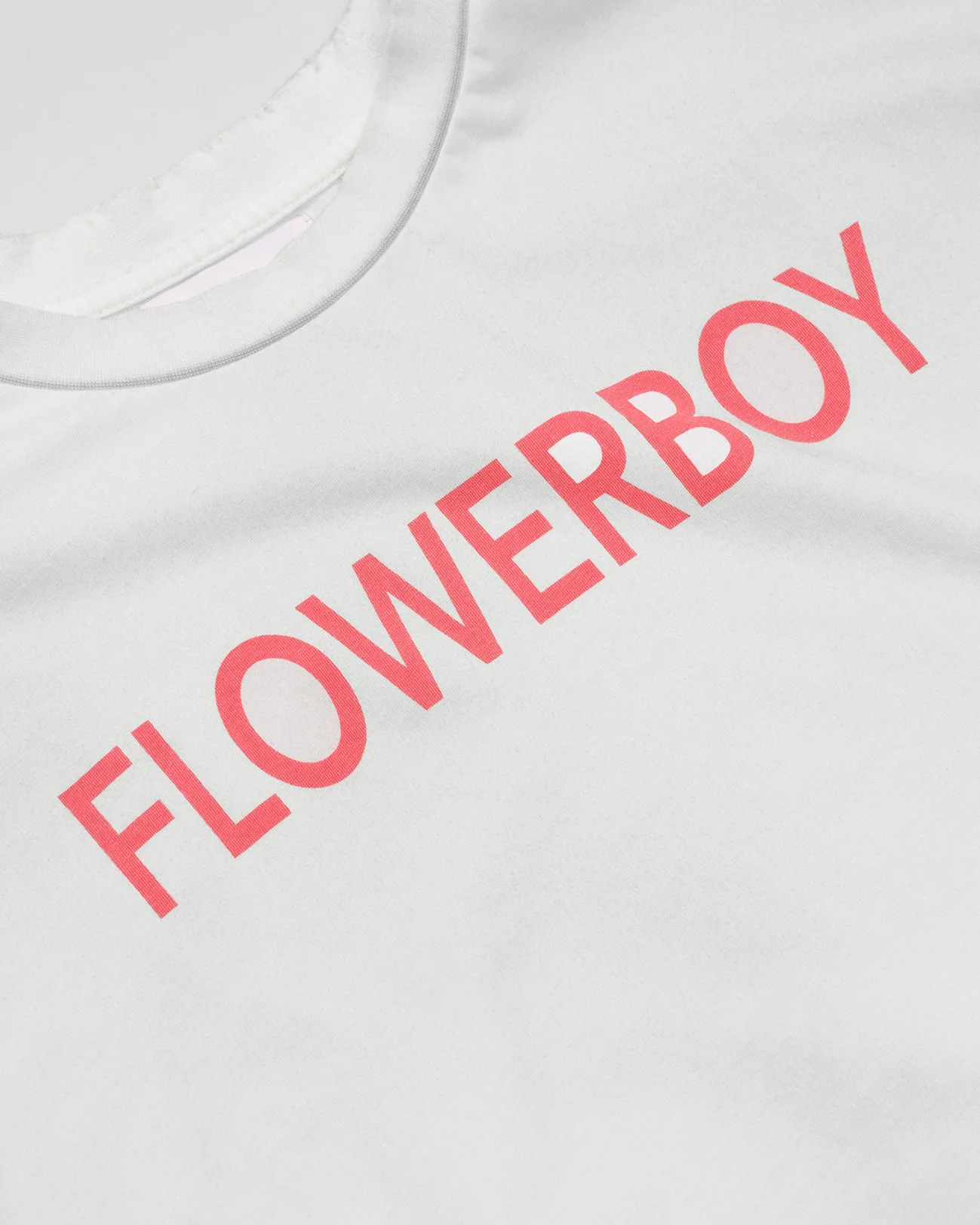 Flowerboy_Tee_D_Pteron.jpg