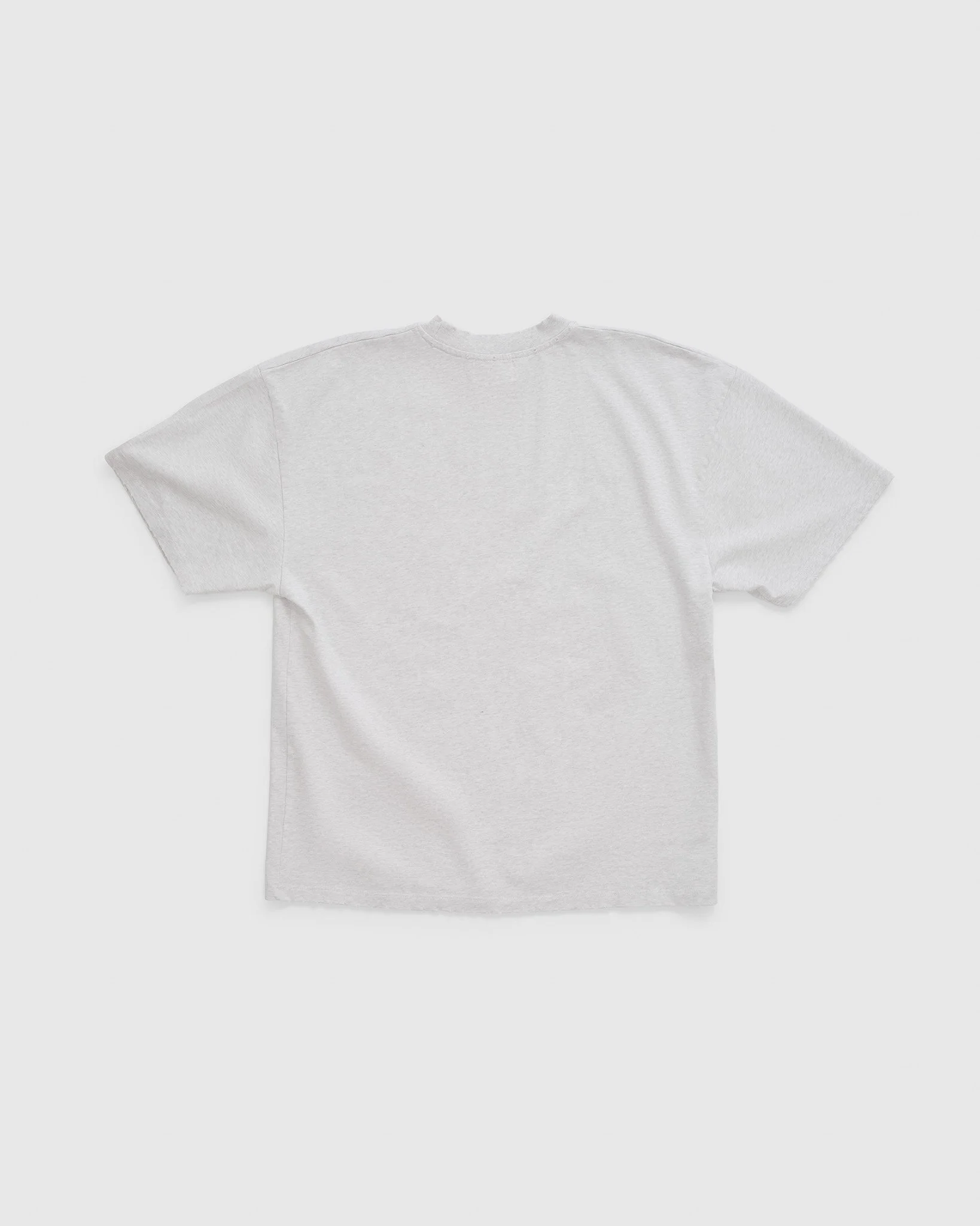 MerchTee_Pteron_Back.jpg