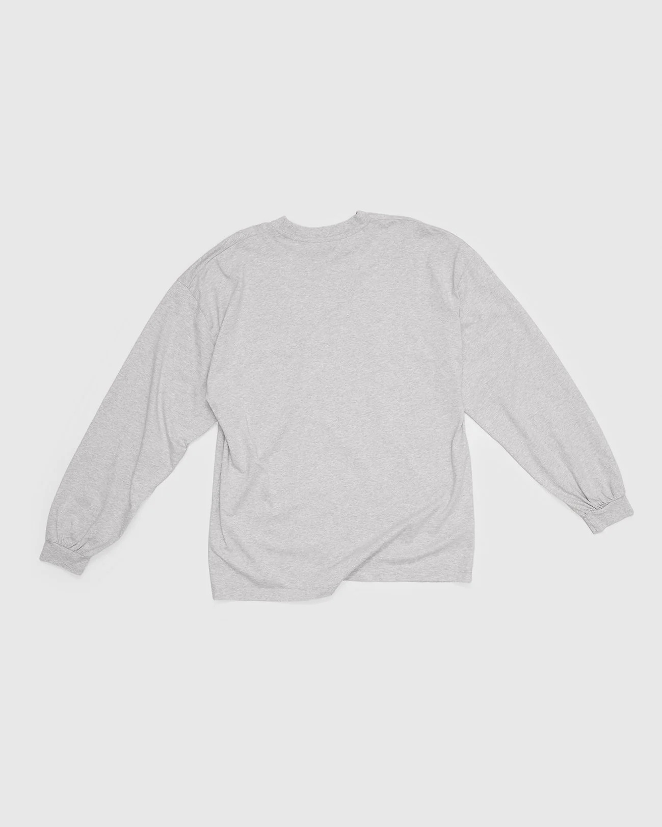 Pteron_Loosefitted_Longsleeve_Back.jpg