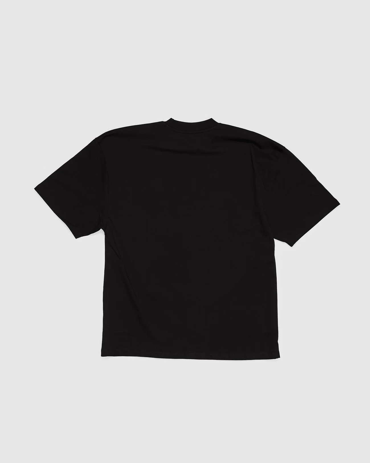 Pteron_LooseFitted_Tee_Black_B.jpg