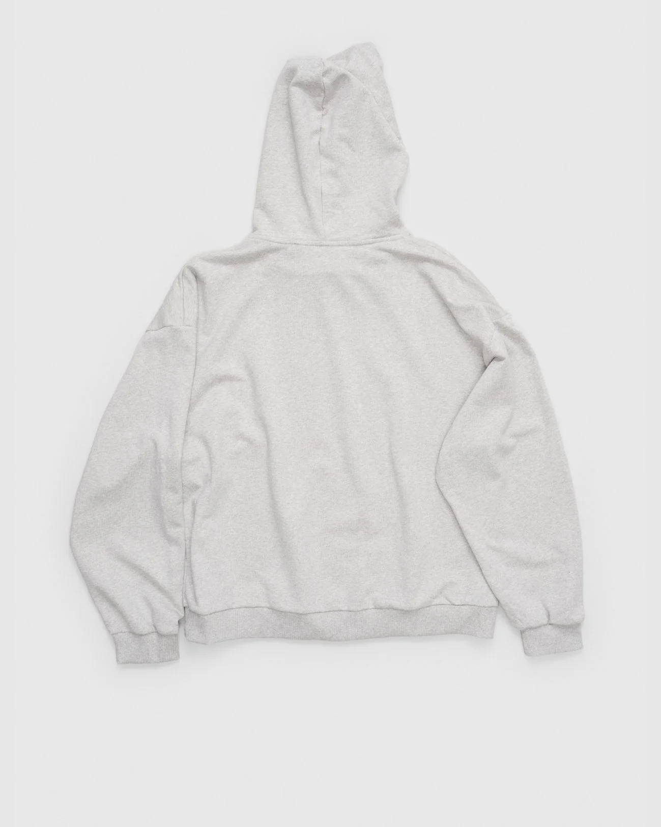 Pocketless Hoodie_Back.jpg