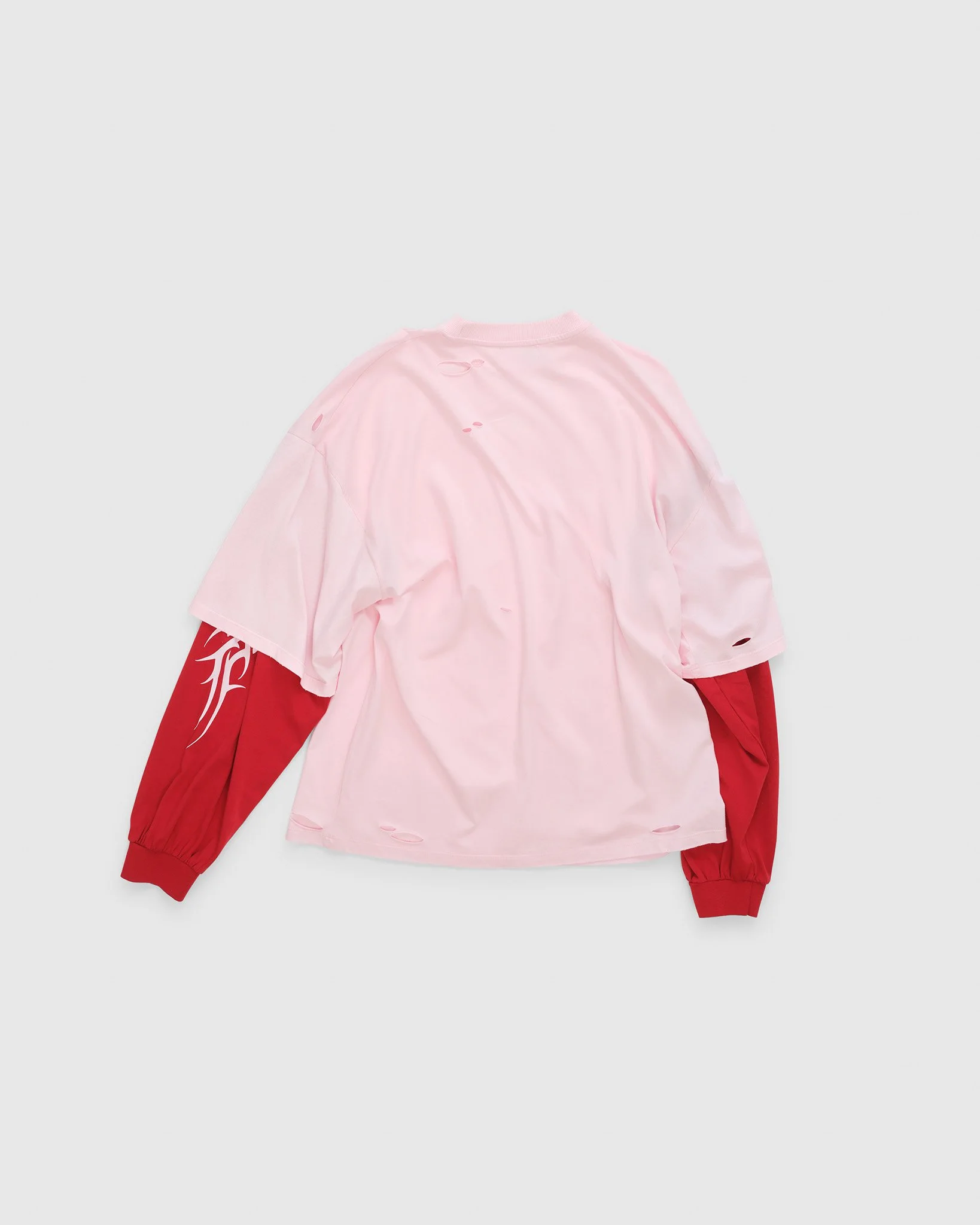 1Destroyd_DoubleSleevedTee_Pteron_Back.jpg