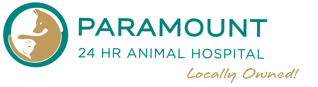 Paramount 24 Hour Animal Hospital