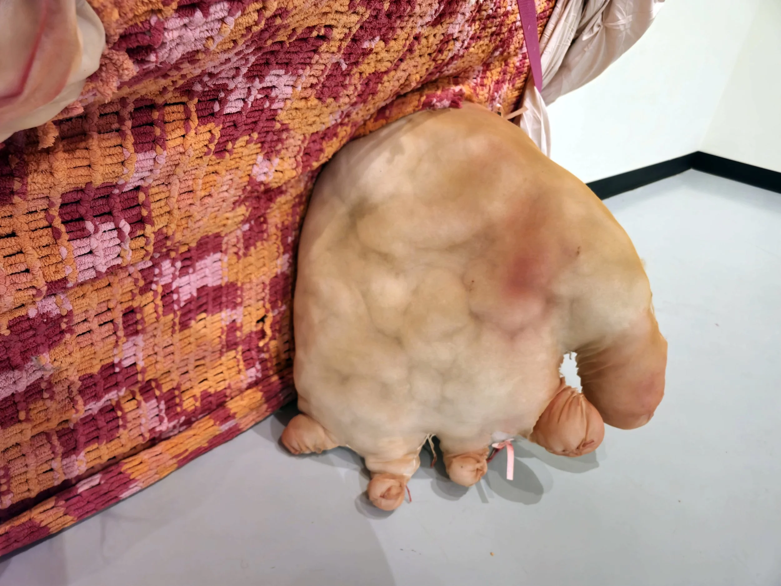 bedbound2.jpg