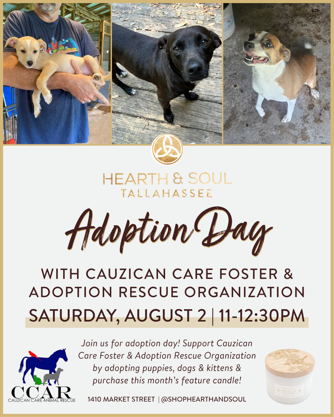 Adoption Day with Cauzican Care Foster & Adoption Rescue Organization at Hearth & Soul