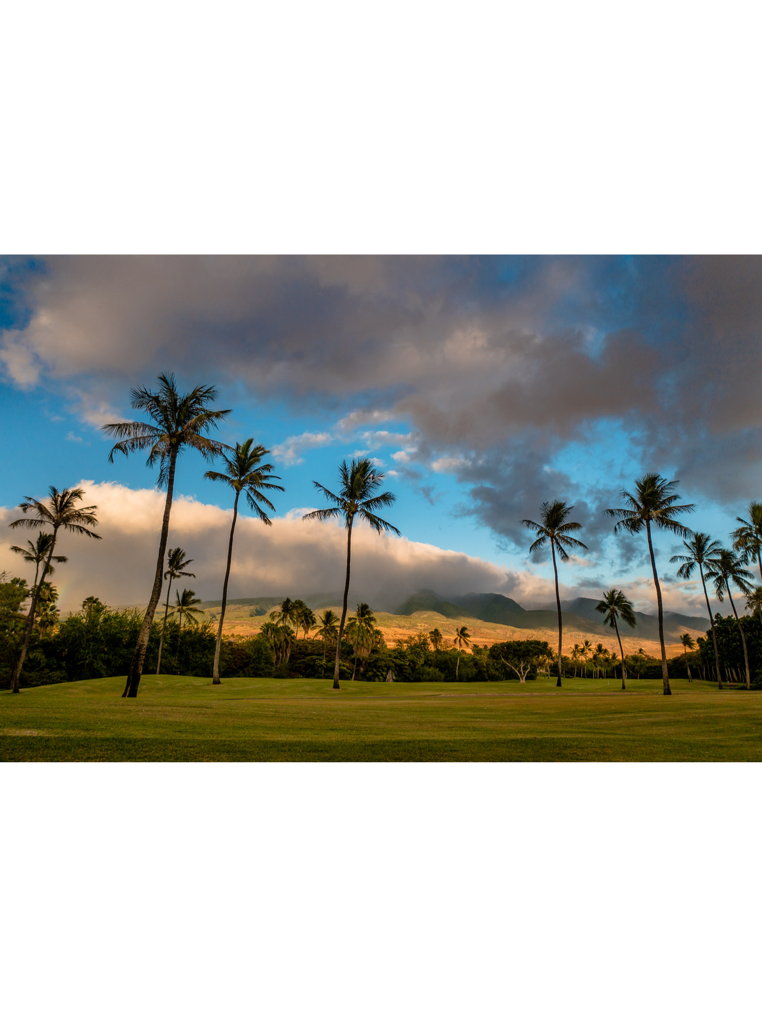 Hawaii Maui Collection Kaanapali Golf 2 2021