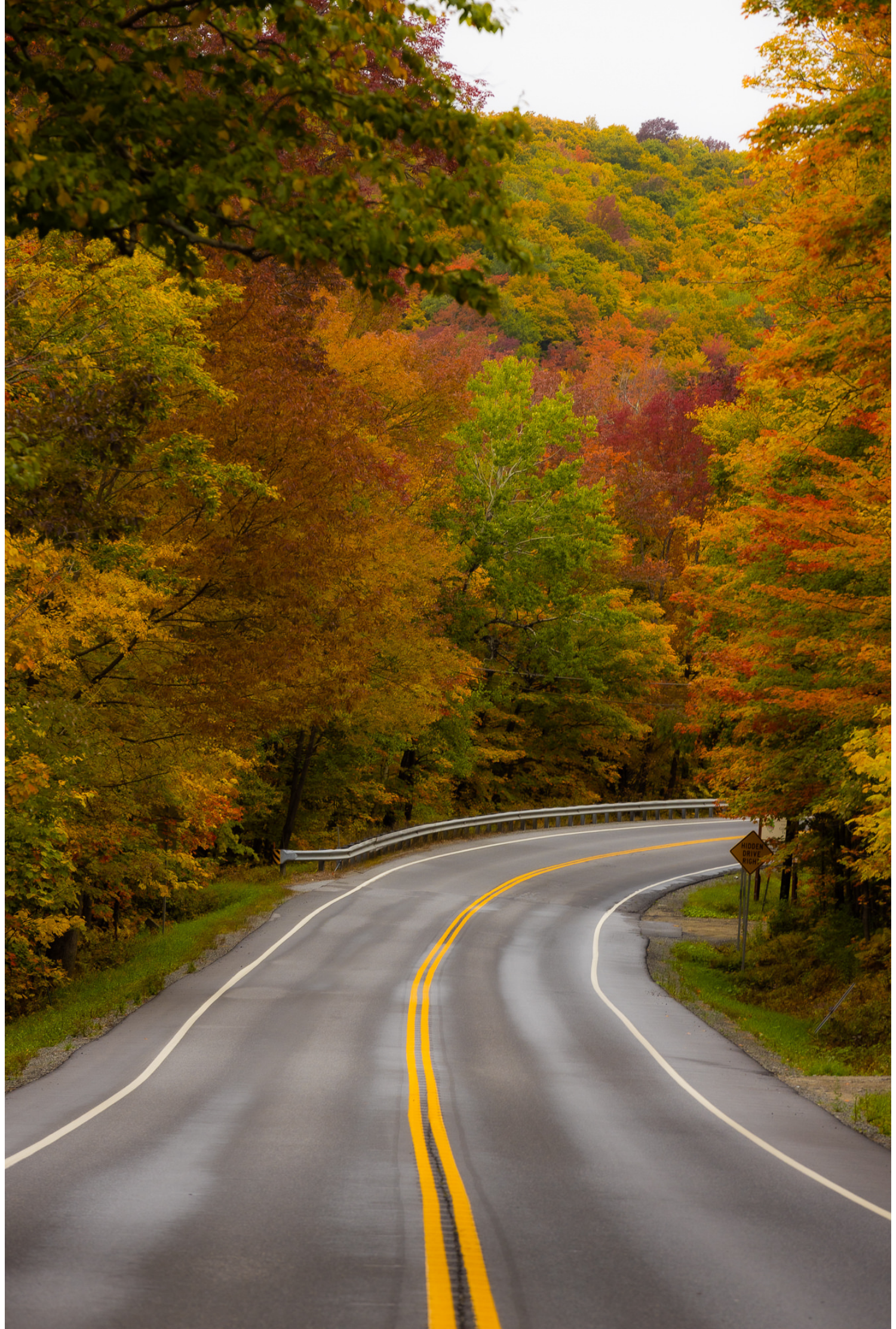 Vermont - fall - collection - 2023 - 30 - 1