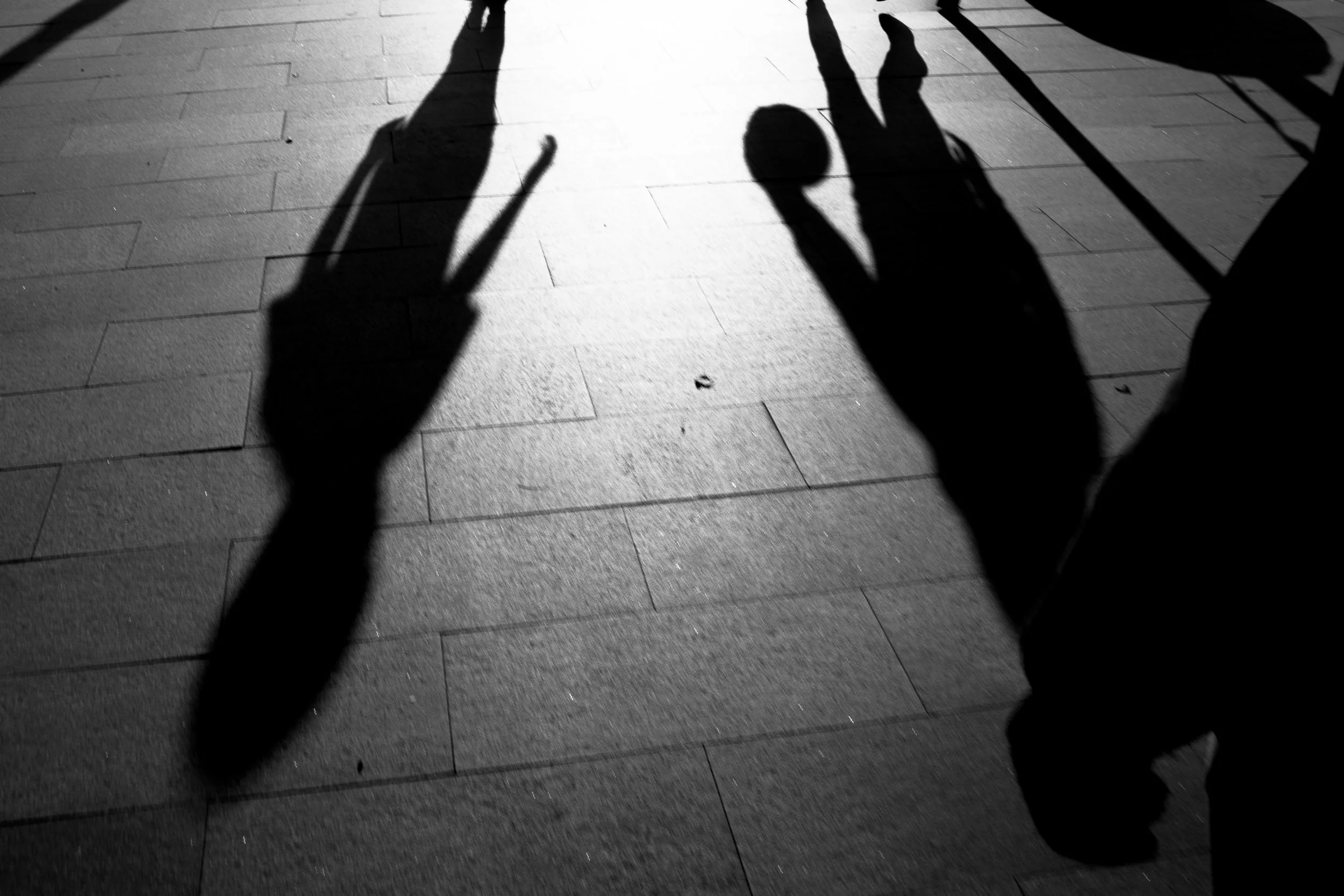 NIKON D5300_20191117_113828.jpg