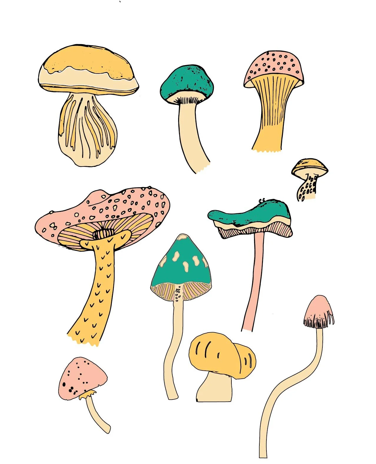 517-Shrooms-web.jpg