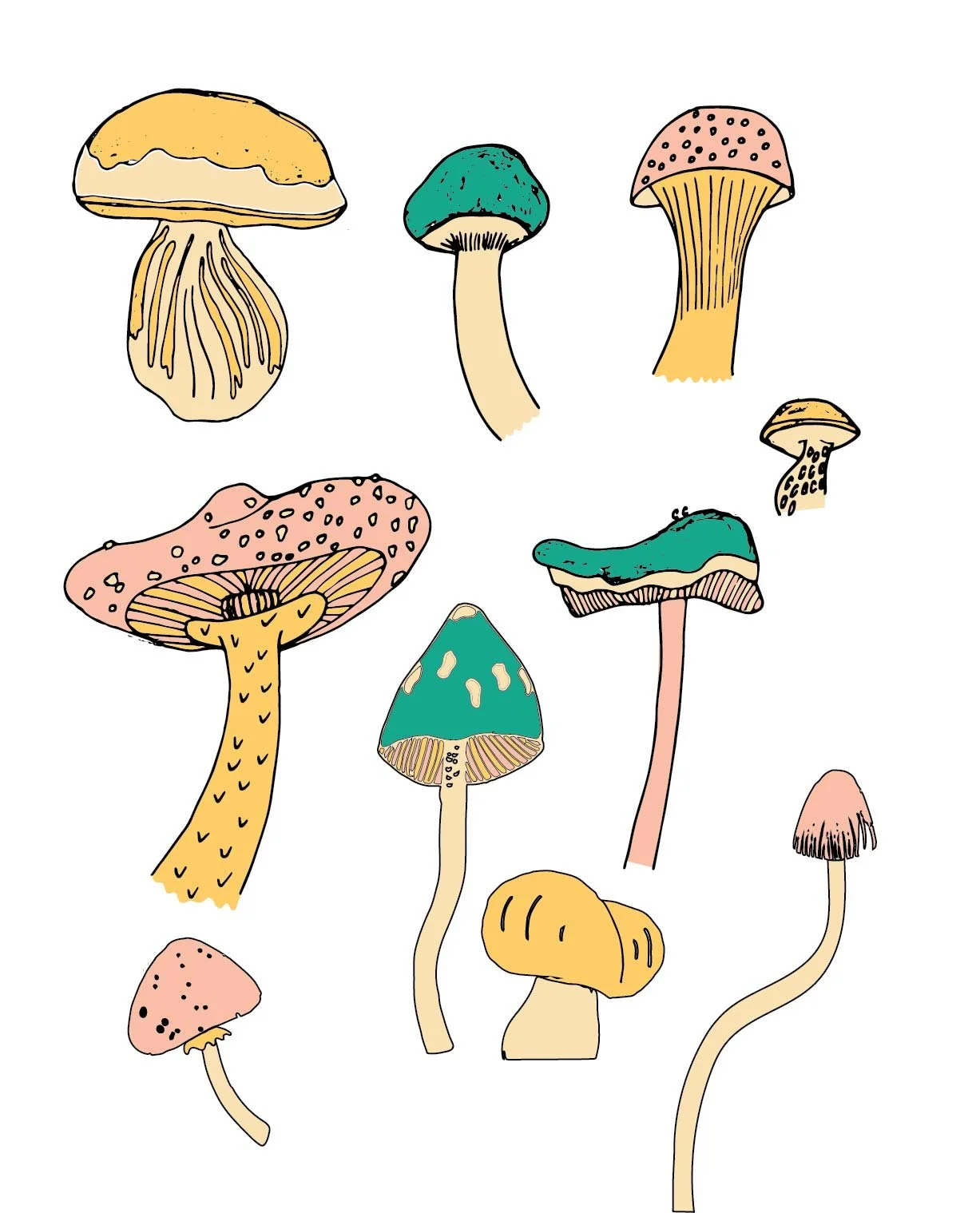 517-Shrooms-website2.jpg