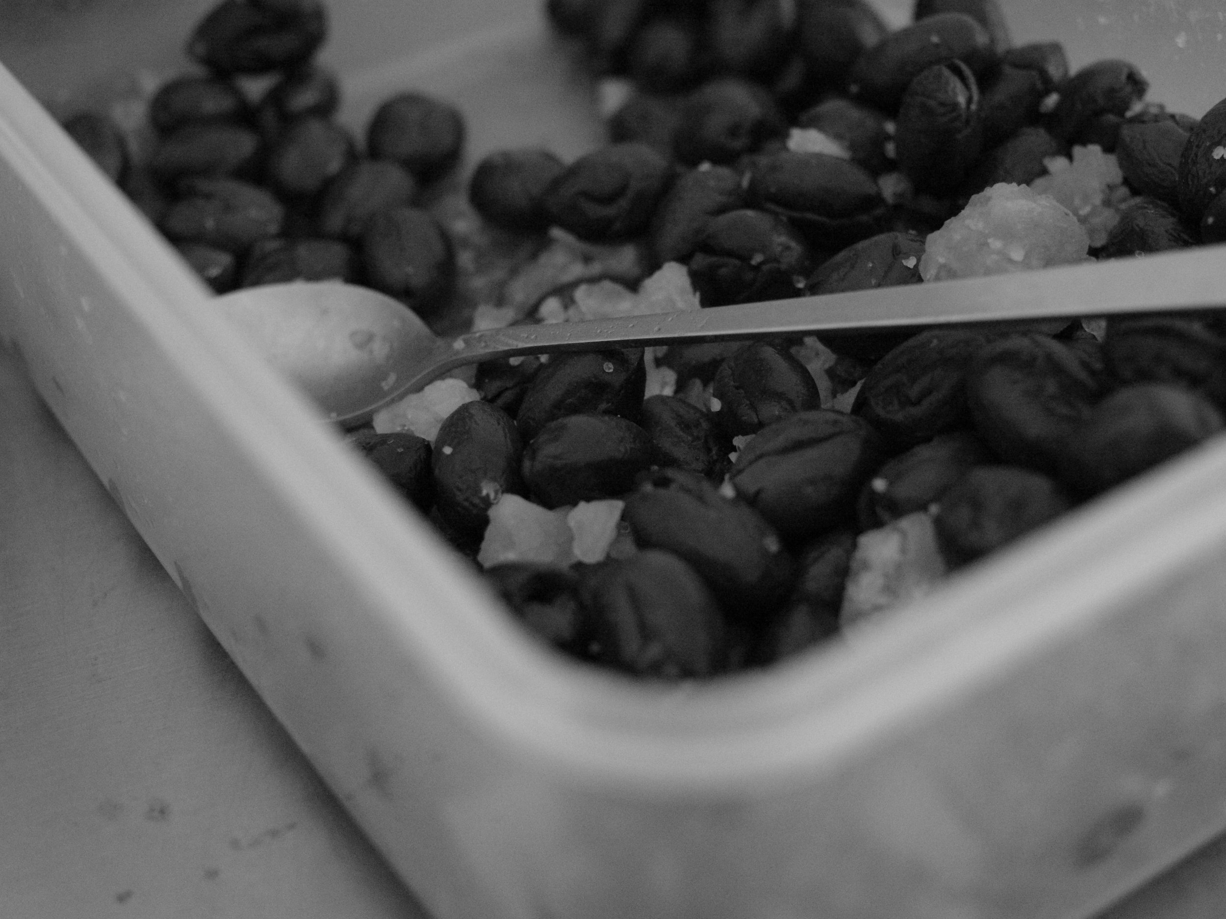  Freshly picked olives curing; we can eat them as early as one week 