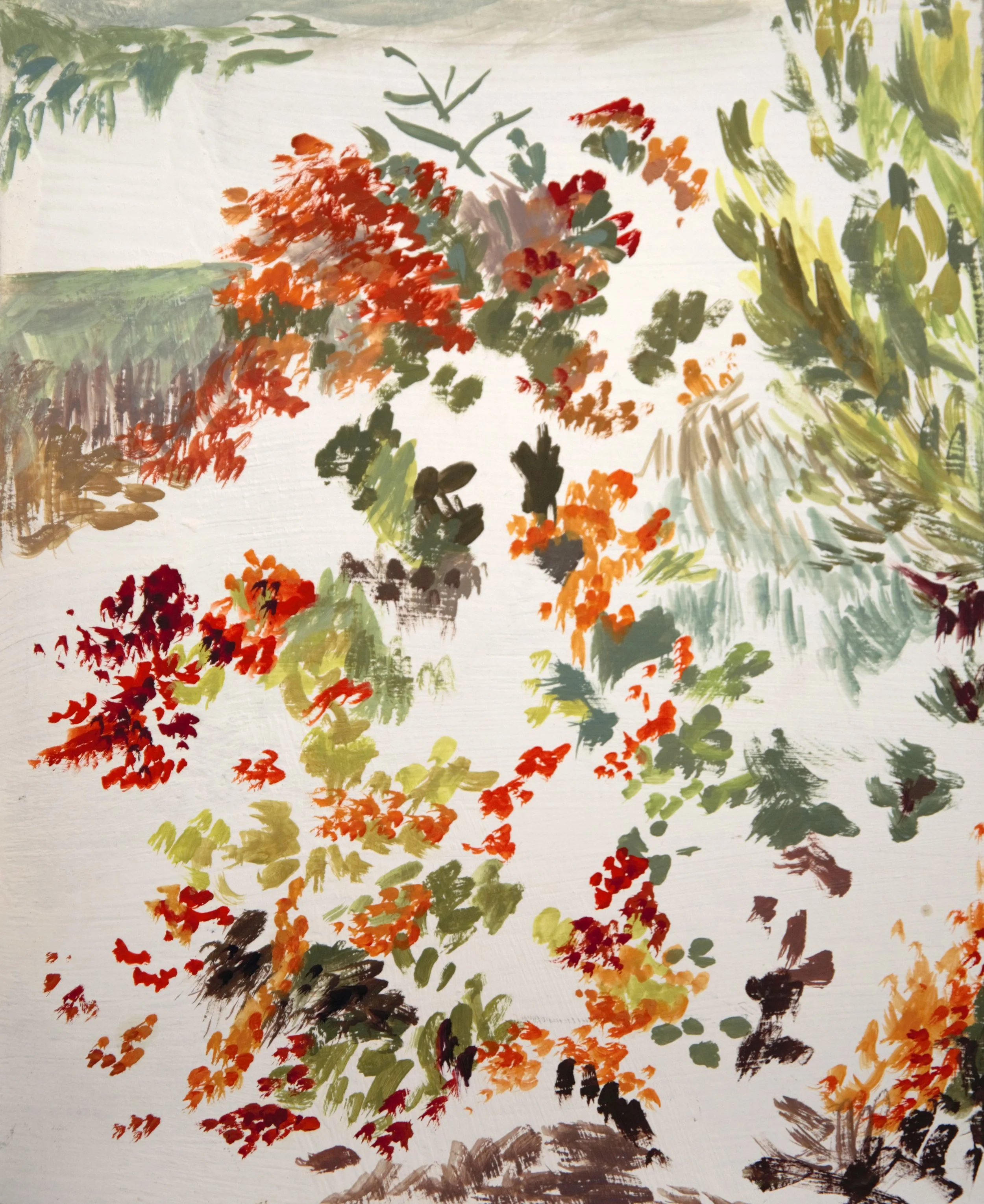Firebush.jpg