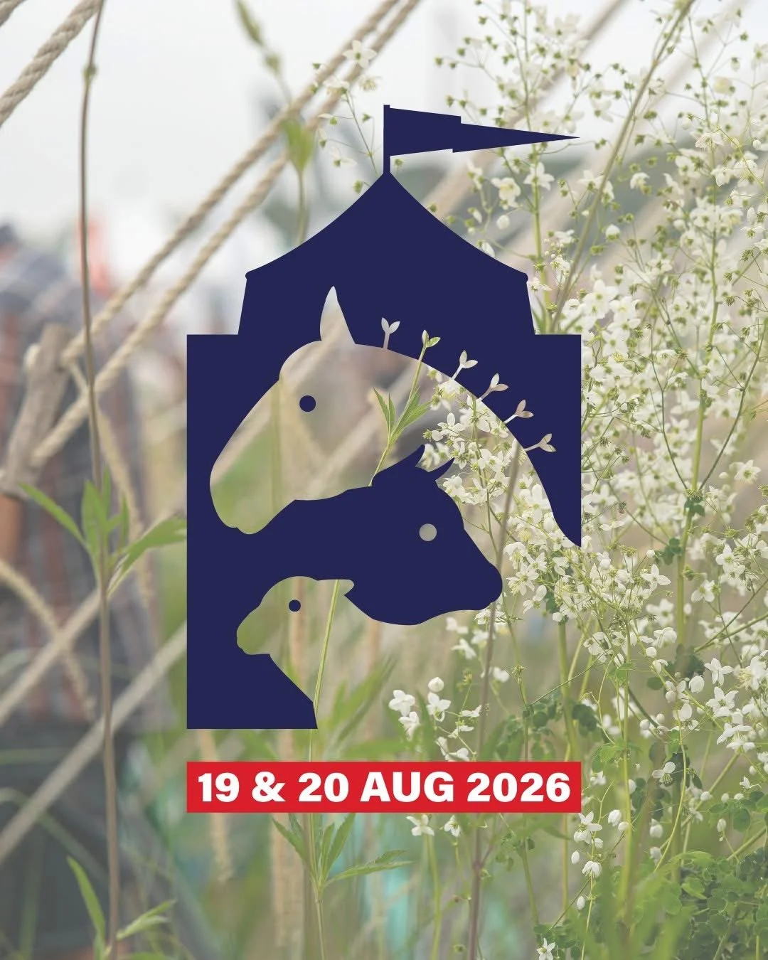 Gillingham & Shaftesbury Show