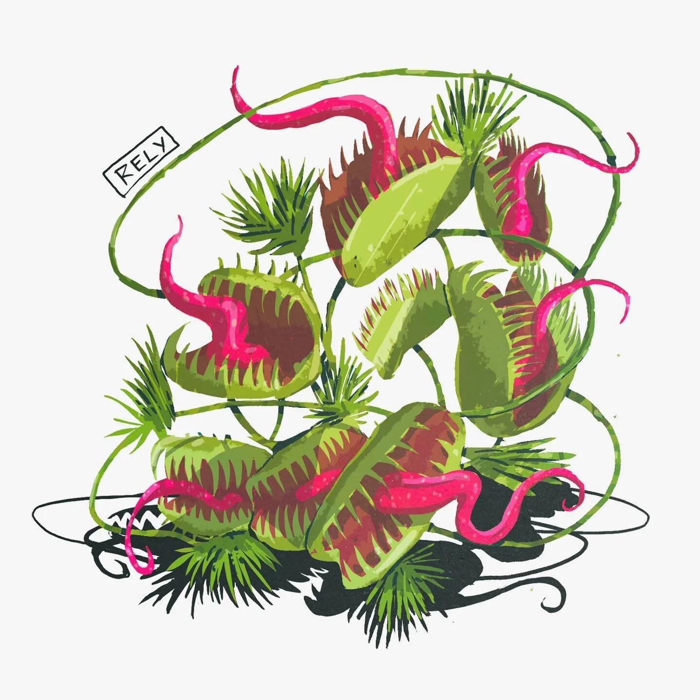 In the trap.

#sotbgc7 -day 26 - Venus fly trap