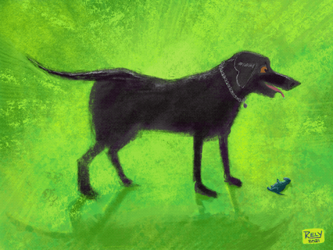 Dogtail_animation_elyafouri.gif