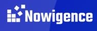 Nowigence Logo.JPG