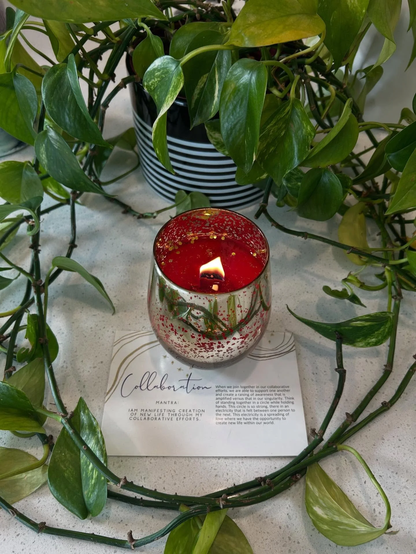 It&rsquo;s that time of year! ✨🎄💫🥰❤️ A time for festive union, cheer, love, connection &amp; collaboration! Even though  busy time, take the time to slow down and enjoy the sweet side of life 🙏 Savoring the JOY in every moment and setting intenti