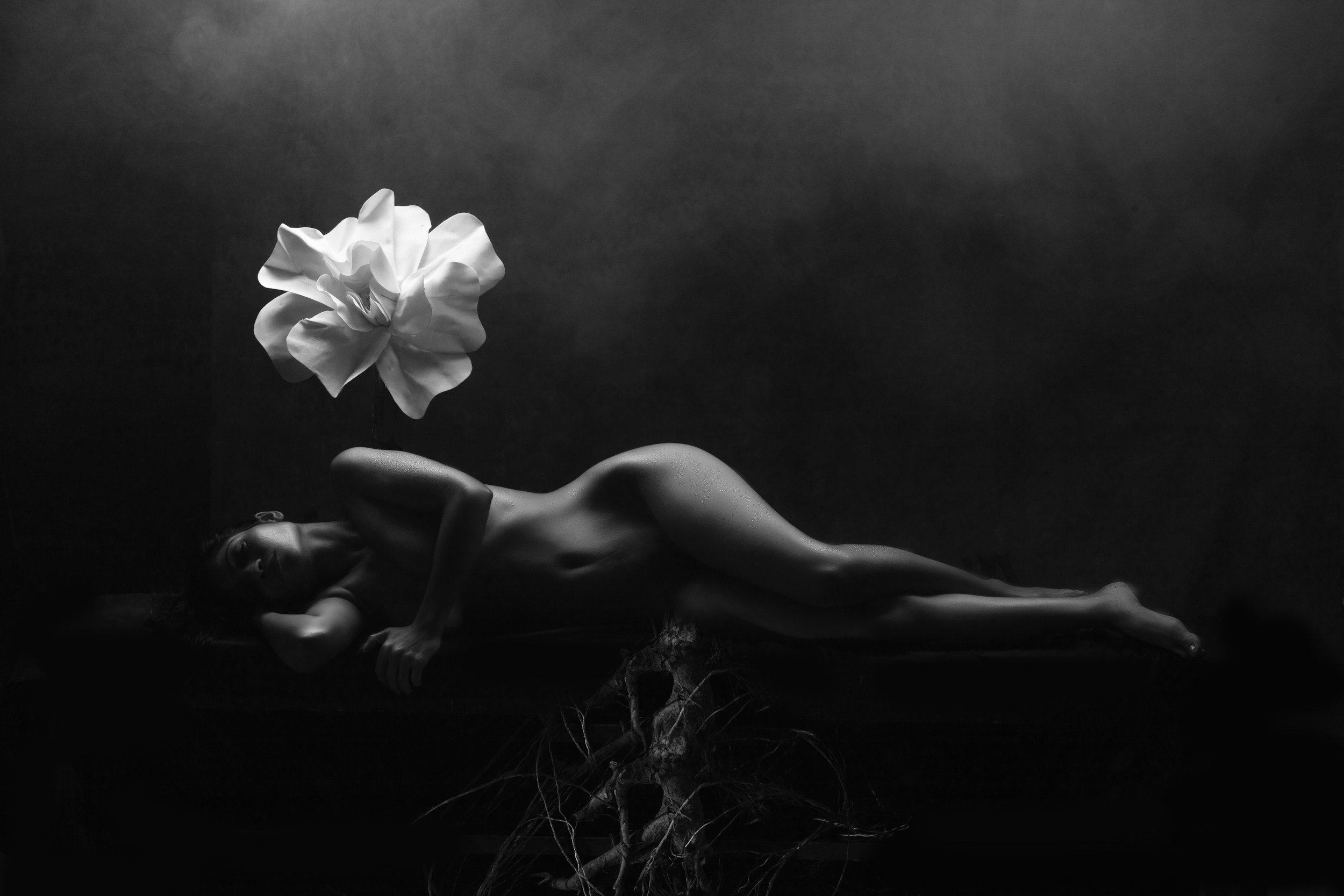 Your Subconscious Mind is Making Terrible Decisions: How to Take the Steering Wheel