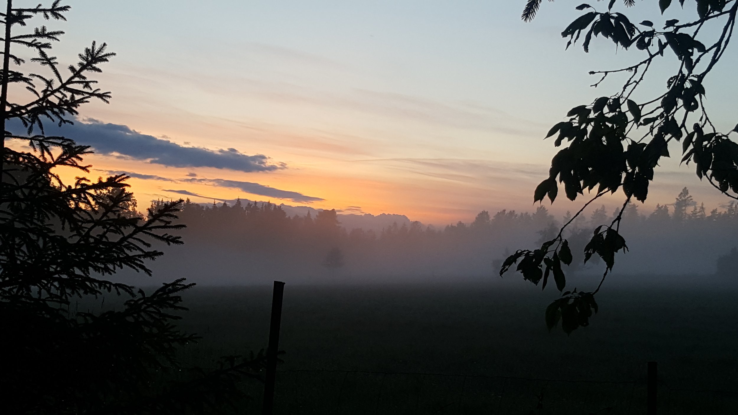 20190713_215552.jpg
