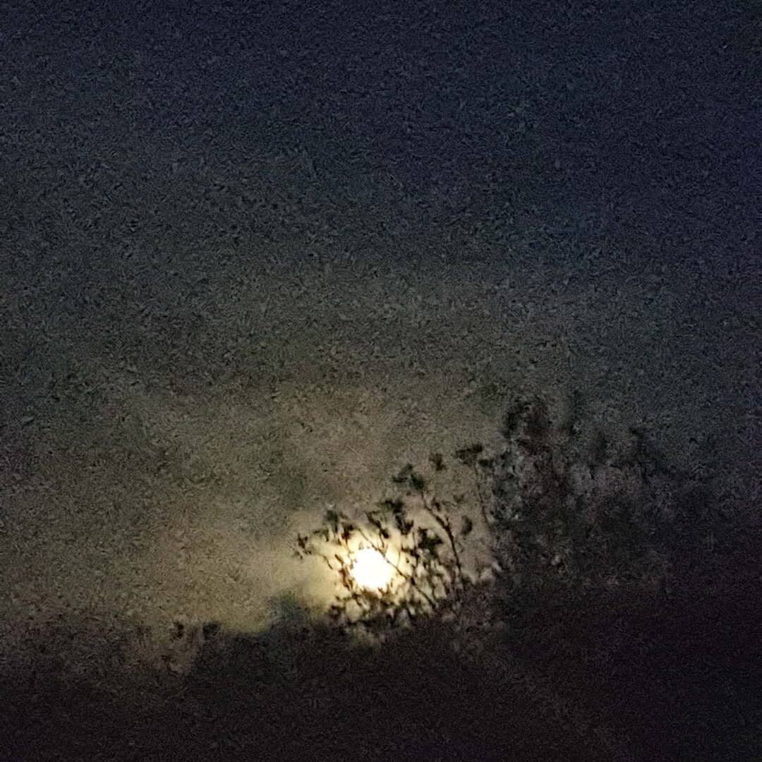 Captured magic through the trees at my home in Ibiza. No filter.. Super full moon rising in Scorpio. #itsnowallaboutwenotaboutme