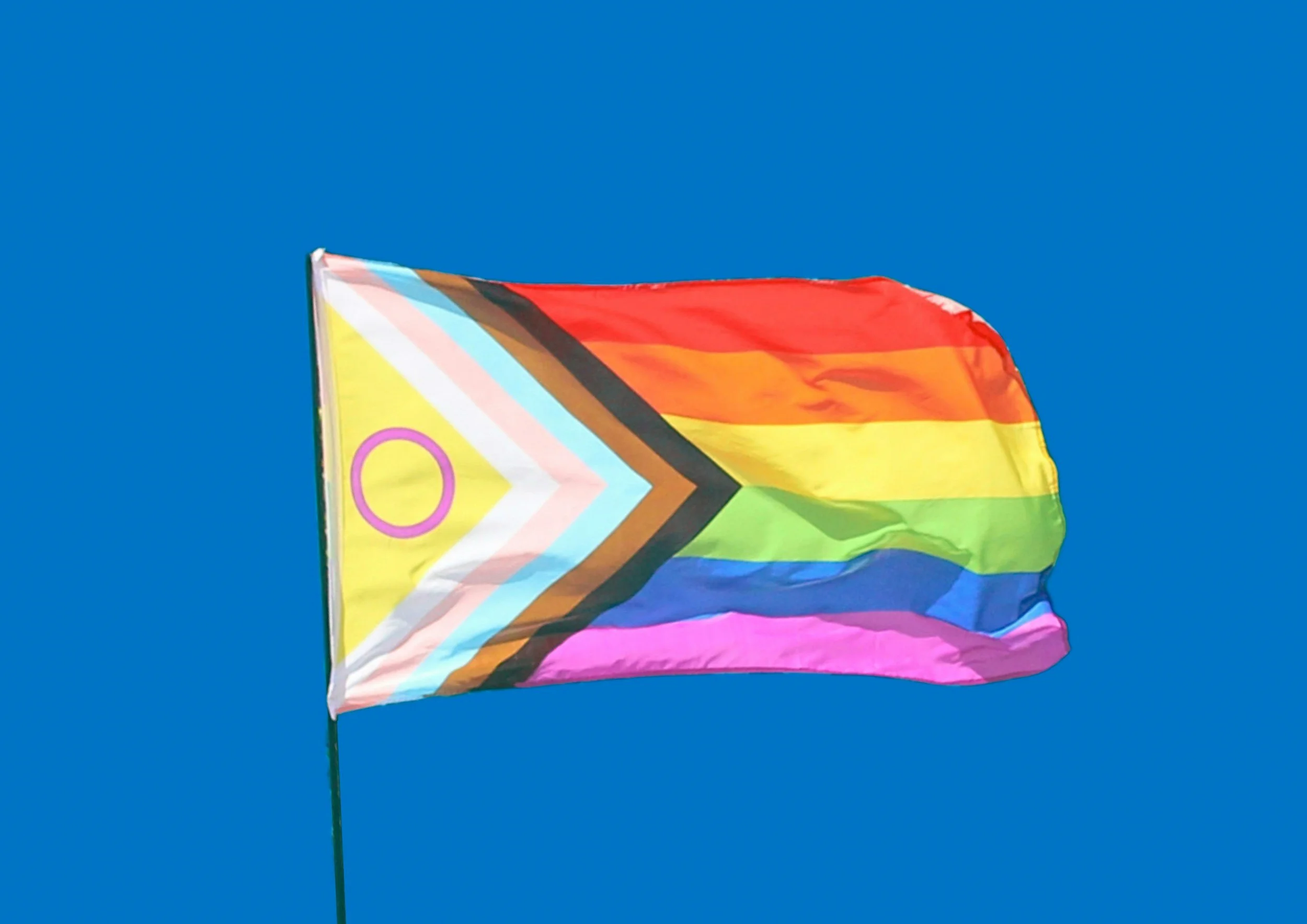 Ambassadors x JISU: International Pronouns Day