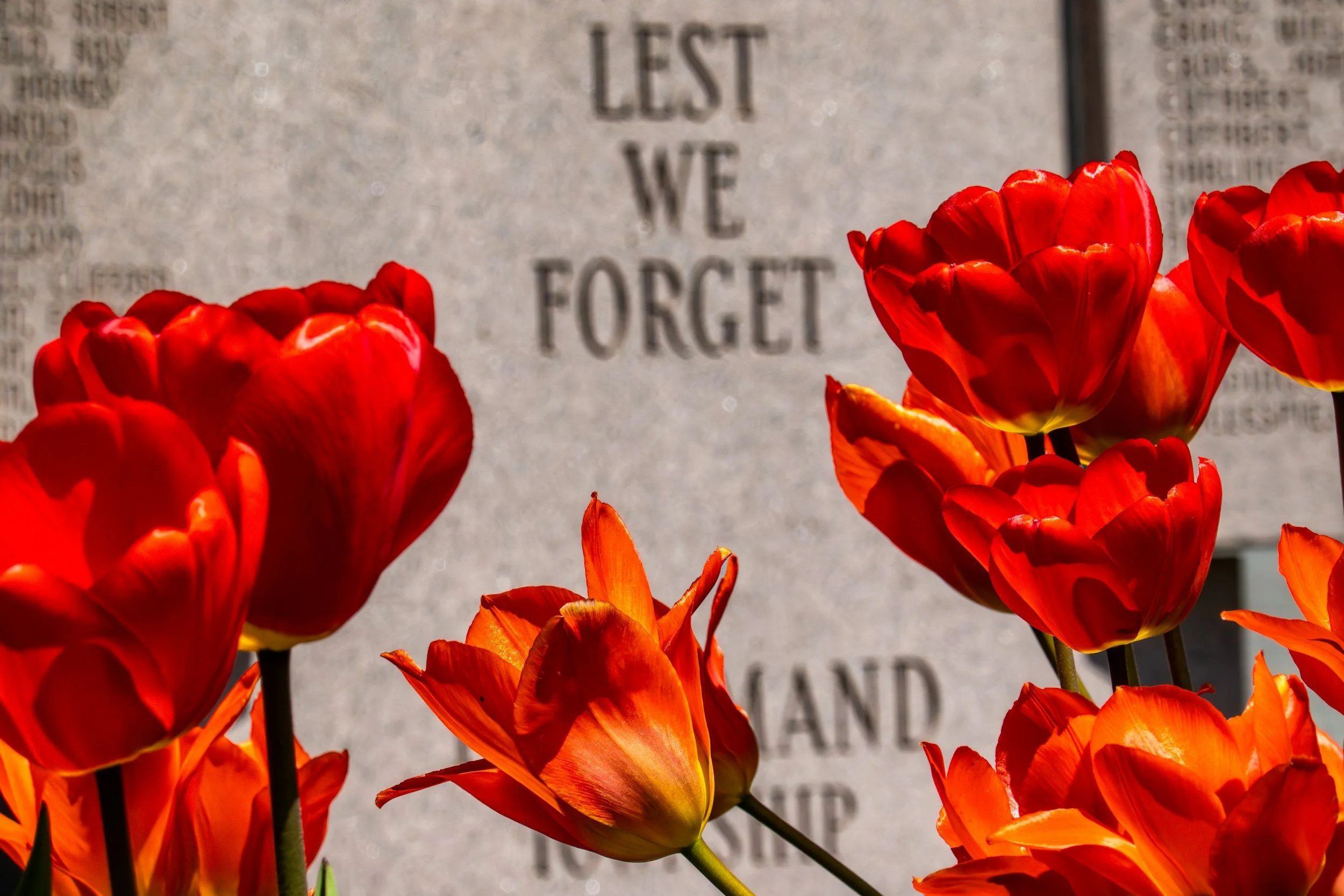 Campus Closed: Remebrance Day