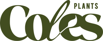 coles_plants_primary_dark_green_360x.webp