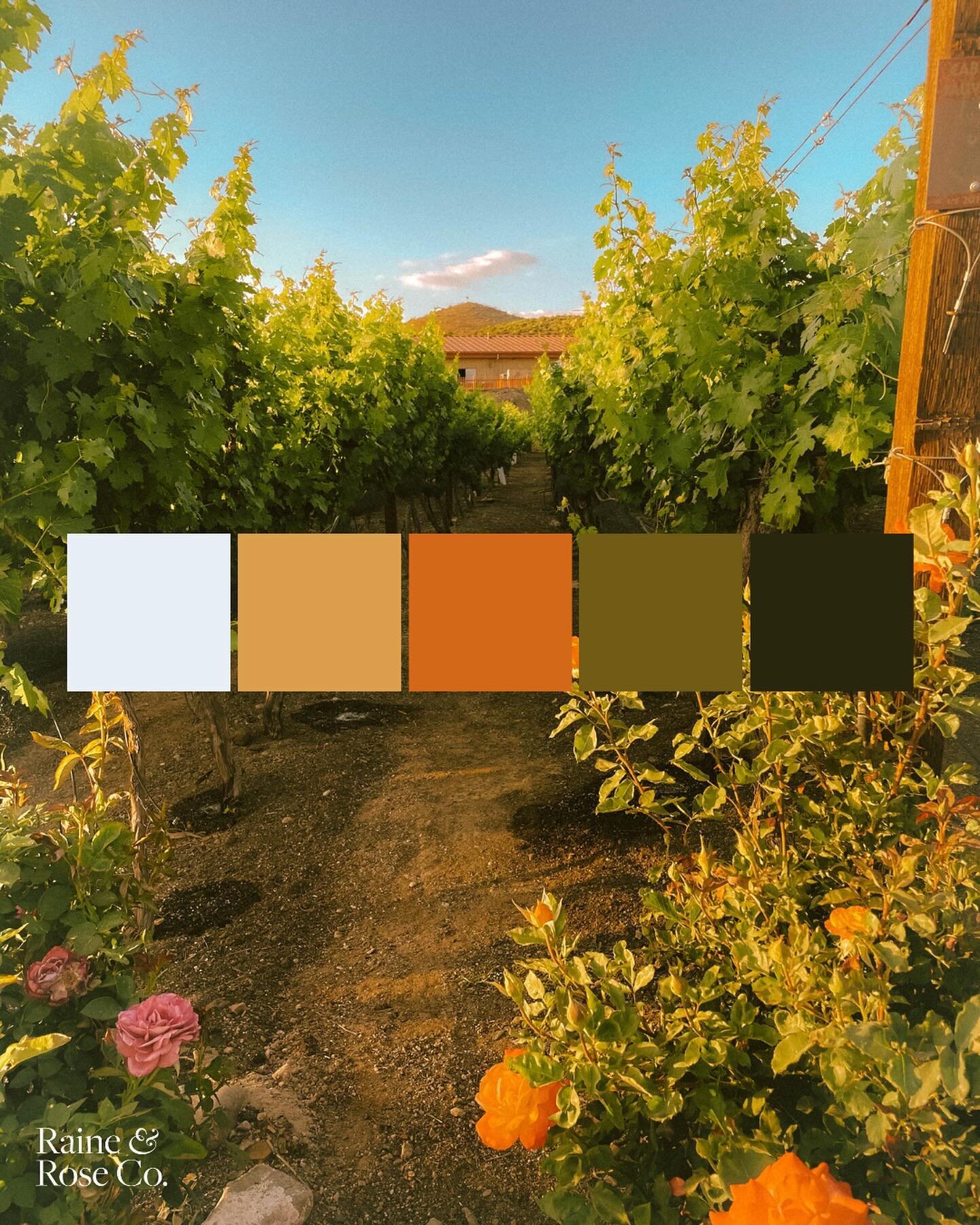 🌞Vineyard Glow🌞 This palette is perfect for brands wanting to offer their customers a sunny, enlivening experience with products that transport and encourage deep connection&mdash;with others, with nature, or even with both!

Where does this palett