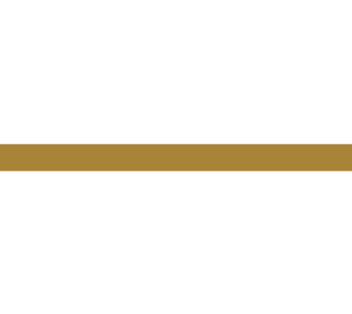 Gold horizontal divider line used to separate insurance page sections