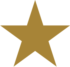 Gold star icon representing a positive Sawyer Health Solutions customer review.