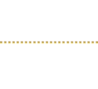 Gold dotted divider line used to separate insurance page sections