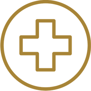 Gold medical cross icon representing health insurance coverage in Florida