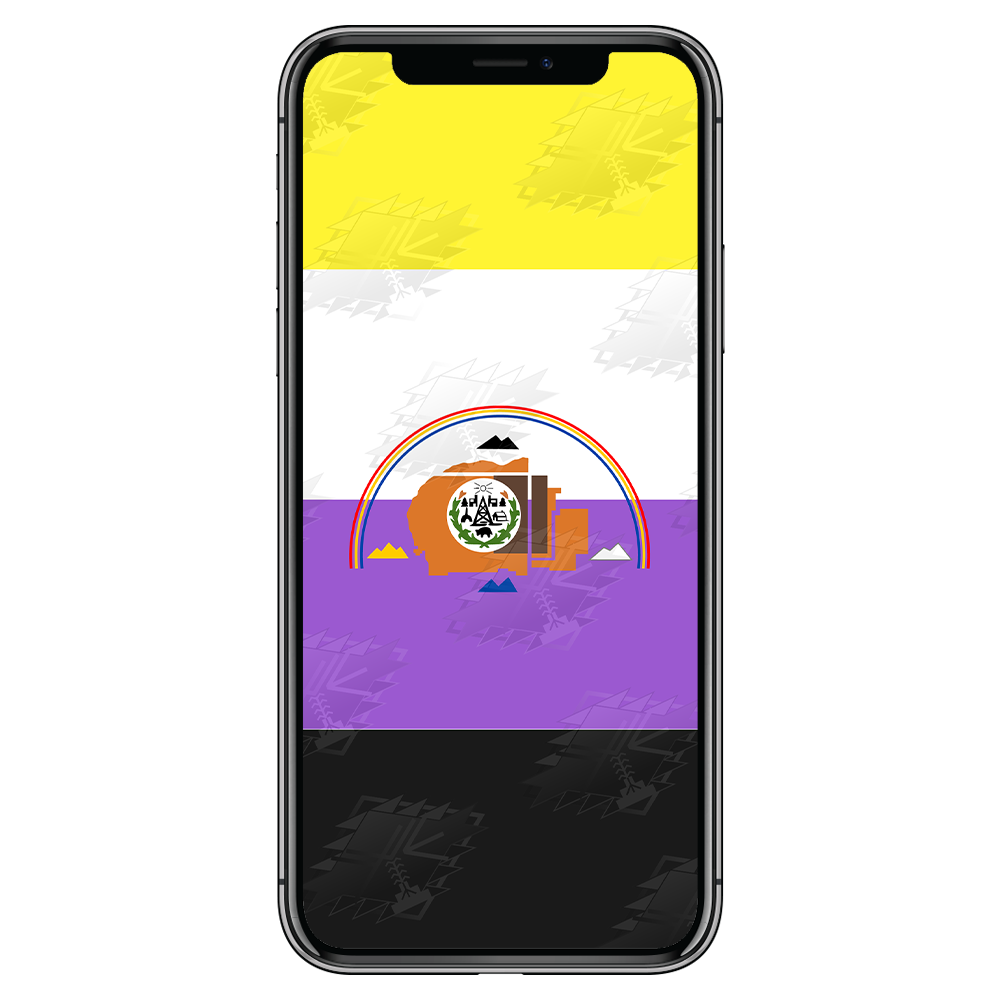 WM Nonbinary Navajo Nation Horizontal.png