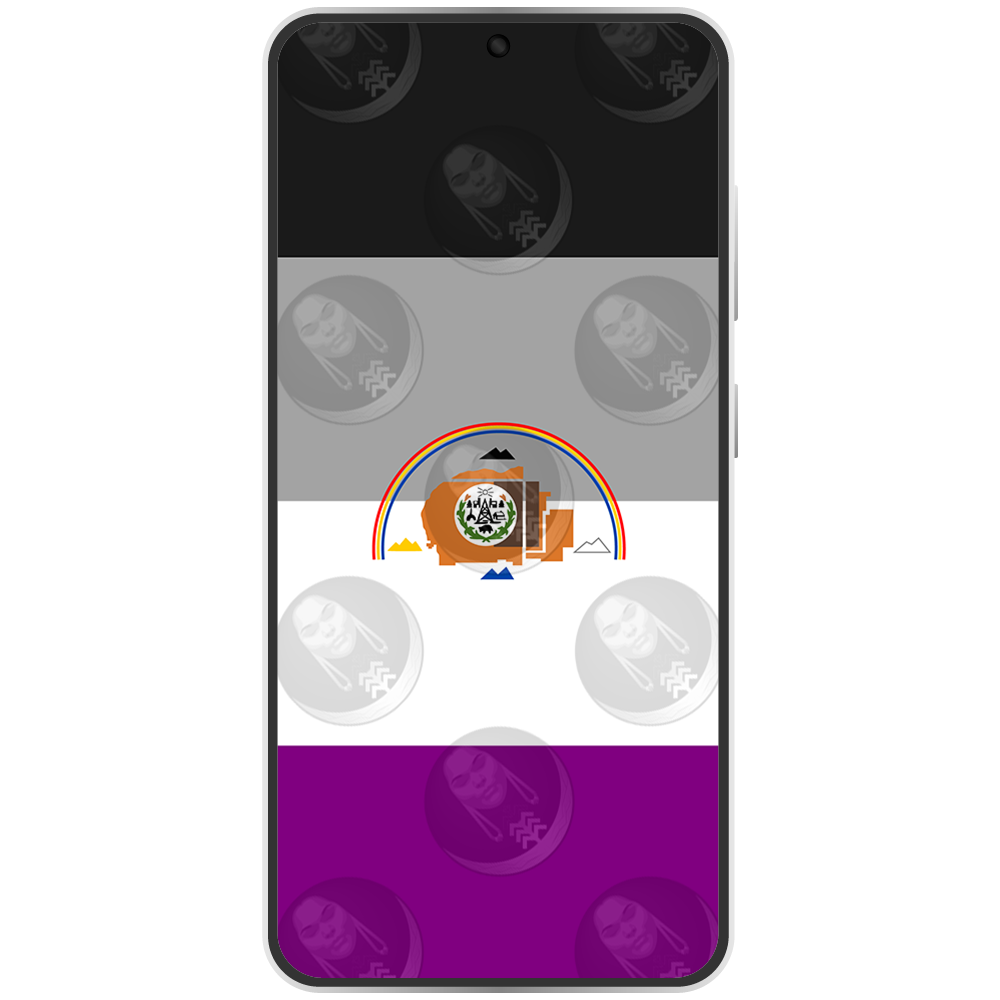 Navajo Nation Ace Horizontal.png