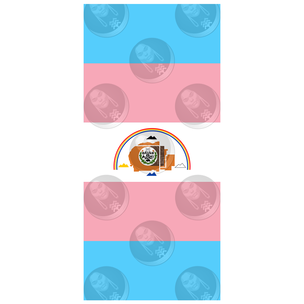 Transgender/Trans Navajo Nation Pride Flag (Horizontal)