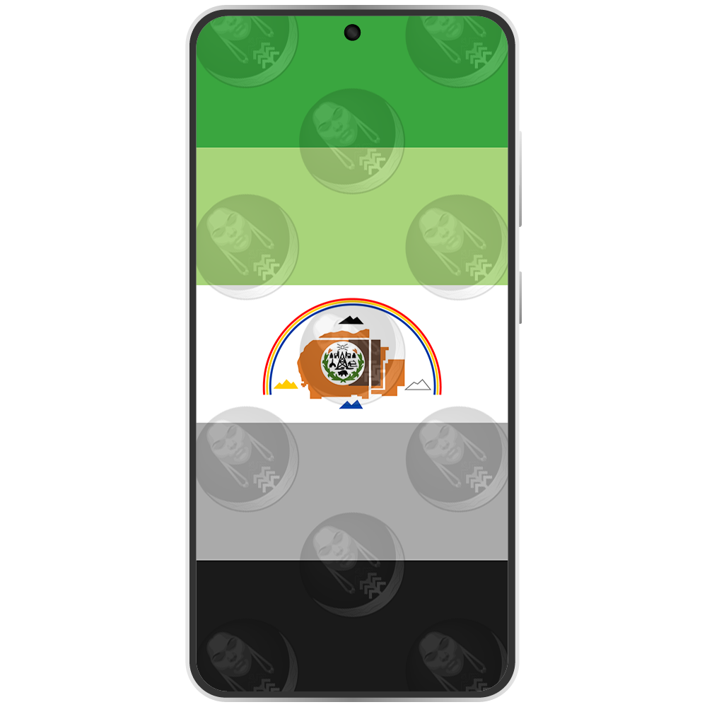 Navajo Nation Aro Horizontal.png