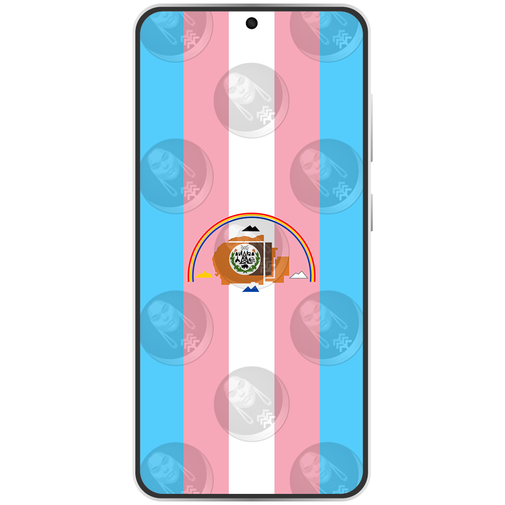 Navajo Nation Trans Vertical.png